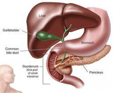 Cholécystectomie chirurgie vésicule biliaire