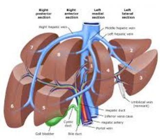 CHIRURGIE HEPATIQUE.jpg
